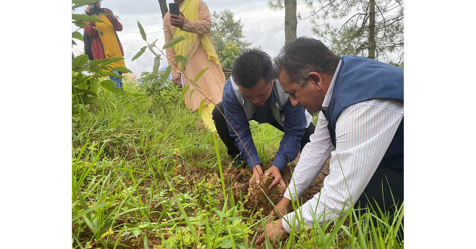 जननेता भण्डारीको जन्मजयन्तीमा वृक्षारोपण